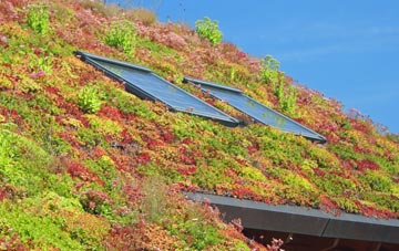 West Balmirmer living roof systems